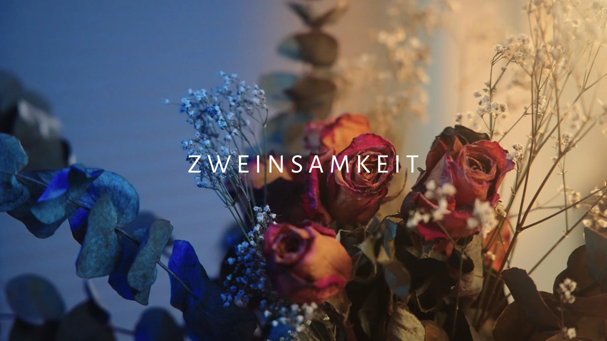 Vorschaubild: zwEinsamkeit
